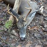 Jeff Wyatt - @jeffwyatt3223 - Instagram
