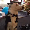 jeffwyatt421 - @jeffwyatt421 - TikTok