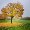 jeffyager46 - @jeffyager46 - TikTok