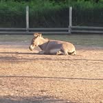 Jeff Zander - @zanco.inc - Instagram