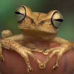 Jeff Zerbe - @jtzfrog - Instagram