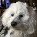 Jeff Zmudzinski - Facebook