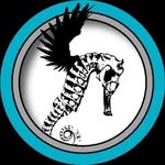 Jefferson Kidd - @jeffersonkidd - Instagram