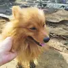 Nolan - @nolan.jefferson - TikTok