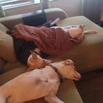 Jefferson Pate Jackson - @jefferson.p.jackson.7 - Instagram