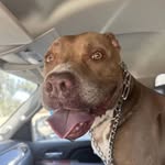 Jeffery Albert 290 - @jefferyalbert290 - Instagram