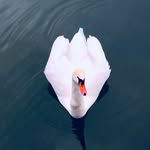 Jeffery J. Albert - @jeffery.albert - Instagram