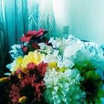 Amos G. Jeffery - @amosg.jeffery - Instagram