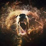 Blast4me - @jefferybostic - Instagram