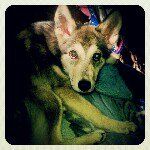 Jeffery & Katina Bruner - @bruner8285 - Instagram