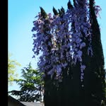 Jeffery Bryan - @spinningannie - Instagram
