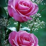 Jeffery Buchanan - @buchana.jeffery - Instagram