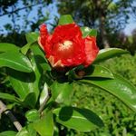 Jeffery Buchanan - @jefferybuchanan116 - Instagram