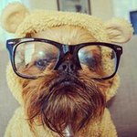 Jeffrey Chadwick - @jeffrey.chadwick - Instagram