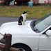 Jeffery Coleman - Facebook