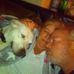 Jeffery Coleman - Facebook
