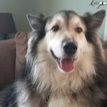 Jeffery Coon - @jeff2483350 - Instagram