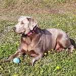 Jeffrey Coon - @its.ur.boy.bo - Instagram