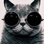 Jeffrey Cotton - @mrjeffreydeancotton - Instagram