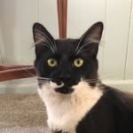 Jeff - @_jeffery_crow_ - Instagram