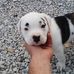 Jeffery Dillard - Facebook