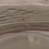 jeffery.fish_ - @jeffery.fish_ - TikTok