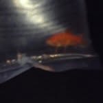 Jeff - @jeffery_gold - Instagram