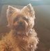 Jeffery Gold - Facebook