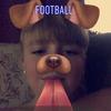Jeffery_hanley14 - @save_the_animals2020 - TikTok