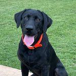Jeffery - @jeffery_head - Instagram