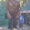 Jeff Holbert - @jeff.holbert - TikTok
