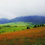 Jeffrey Holbert - @holbertjeffrey - Instagram