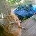 Jeffry Jerome Rivera - Facebook