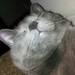 Jeff Kirk - @jeffrey_kirk - Instagram
