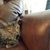 Jeffy Ladner - Facebook