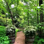 Adam Laws - @adam.jeffery.laws - Instagram
