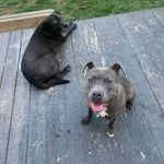 Jeffery madison - @madison252024 - Instagram