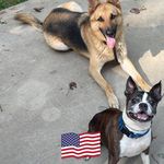 Jeffery Marcus - @jeffery.marcus.1 - Instagram