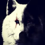 Jeffery Monroe Mason - @jefferymonroemason - Instagram