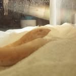 Jeffrey Smrha-Monroe - @sand_snek - Instagram