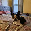 jefferynewsham - @jefferynewsham - TikTok