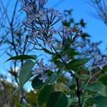 Jeffery North - @jeff_rey8989 - Instagram