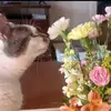 Jeffrey O'Neal - @jeffrey.oneal - TikTok