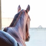 jeffrey pace - @jeffreypace1976 - Instagram