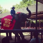 Jeffrey Pace - @jeffreypace82 - Instagram
