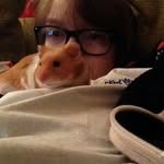 Jeffery & Patrick The Hamsters - @jeffery_patrick_ - Instagram