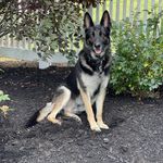 Jeffrey Pennington - @kingjefe6 - Instagram