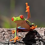 Jeffrey Pike - @jeffrey.pike.988 - Instagram