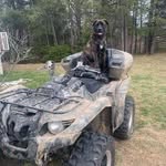 Jeffrey Pike - @mayhemlogger - Instagram