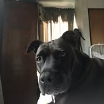 ✨Jeffery ✨ - @jeffery_the_black_pitt - Instagram